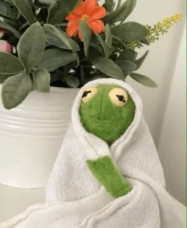 😣 Kermit カーミット, 人形, タオル, マペッツ, カエル, 緑 telegram sticker