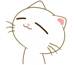 😞 chat, chaton, mignon, animal, animal de compagnie, kawaii telegram sticker