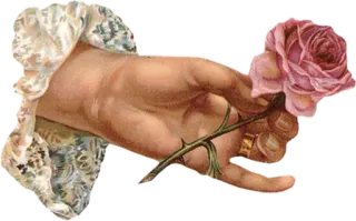 🌷 mano, rosa, fiore, vintage, estetico, rosa whatsapp sticker