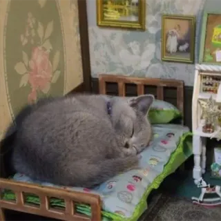 🛌 chat, dormir, miniature, lit, maison de poupée, cosy telegram sticker