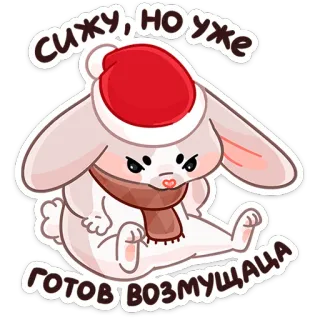 😠 сижу, но уже готов возмущатса 토끼, 화난, 귀여운, 겨울, 모자, 목도리 telegram sticker