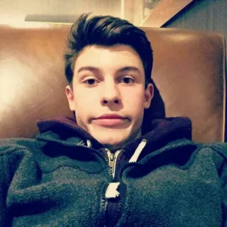 😐 Shawn Mendes singer, celebrity, portrait, male, person telegram sticker