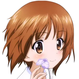Girls und Panzer whatsapp stickers