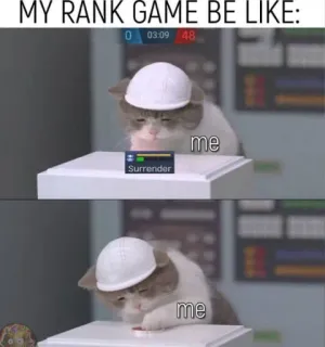 🥺 MY RANK GAME BE LIKE: cat, rank game, surrender, meme, gaming, funny telegram sticker