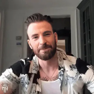 🛡 Chris Evans actor, celebrity, man, beard, handsome, portrait telegram sticker