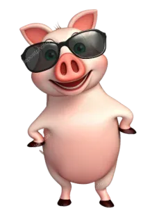 🐷 หมู, สัตว์, แว่นกันแดด, การ์ตูน, น่ารัก, ตลก telegram sticker