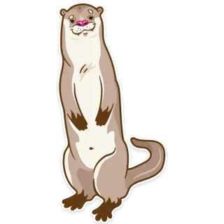 😀 rái cá, động vật, động vật có vú, dễ thương, hoạt hình, nhãn dán telegram sticker