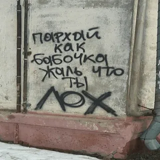 👨‍🎨 Пархай как бабочка жаль что ты ЛОХ Grafiti, Mariposa, Perdedor, Ruso, Arte callejero, Vandalismo telegram sticker