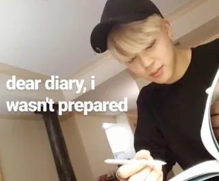 📖 dear diary, i wasn't prepared liebes tagebuch, nicht vorbereitet, meme, sticker telegram sticker