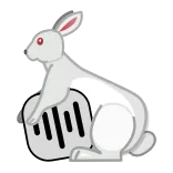 🐇