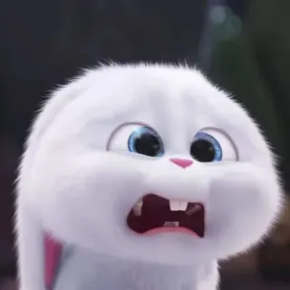 🍓 Snowball The Secret Life of Pets กระต่าย, บันนี่, การ์ตูน, อนิเมชั่น, ความกลัว, มิสเตอร์แสบขนปุย, สโนว์บอล telegram sticker