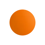 🟠
