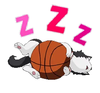 💤 Katze, schlafend, Basketball, schläfrig, Tier, zzz whatsapp sticker