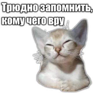 😅 Трудно запомнить, кому чего вру cat, russian, text, meme telegram sticker