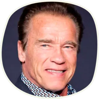 🤖 Schwarzenegger @lennysticker telegram stickers