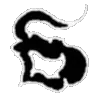 🔠