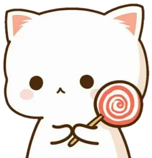 🙁 kot, słodki, kawaii, lizak, słodki whatsapp sticker