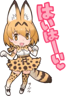 🐱 Serval Kemono Friends はいはーい！ อนิเมะ, เคโมะโนะเฟรนส์, เซอร์วัล, น่ารัก, หูสัตว์, จิบิ telegram sticker