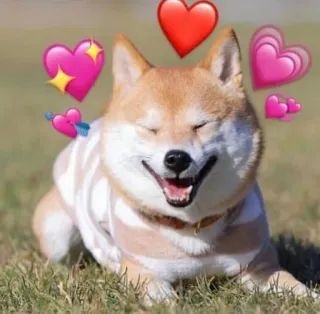 😄 hond, shiba inu, hart, liefde, emoji, schattig, blij telegram sticker