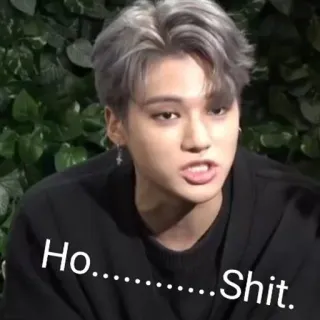 🙅‍♂️ Ho........Shit. kpop, เอเชีย, สีหน้า, คำหยาบ, ตกใจ, ใบหน้า telegram sticker