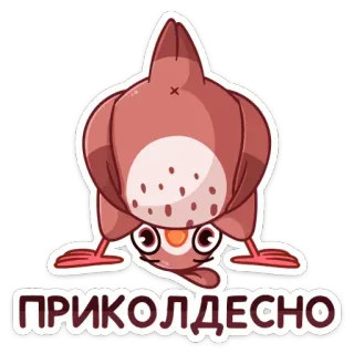🐦 ПРИКОЛДЕСНО ptak, kreskówka, śmieszne, rosyjski, tekst telegram sticker