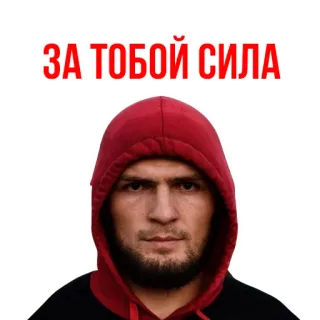 👍 Khabib Nurmagomedov ЗА ТОБОЙ СИЛА luchador, mma, ufc, khabib, deportes, hombre whatsapp sticker