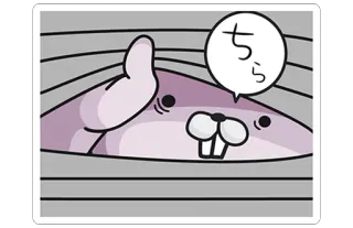 😐 ちら สัตว์, กระต่าย, แอบมอง, การ์ตูน, น่ารัก, ภาพประกอบ telegram sticker