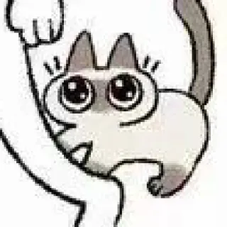 🥺 kucing, hewan, lucu, kartun whatsapp sticker