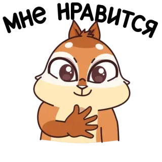 👍 Wiewiórka burunduk, Zwierzę, Kreskówka, Słodki, Ssak, Gryzoń telegram sticker