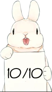 🐰 10/10 Hase, Häschen, Tier, süß, Bewertung, perfekt whatsapp sticker