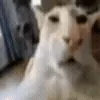 😶