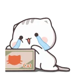😭 Cat gato, animal, lindo, pegatina, llorando telegram sticker