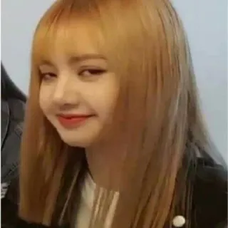 😏 Lisa kpop, penyanyi, wanita, orang, idola, lisa, blackpink telegram sticker