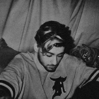 🎬 Zayn Malik зейн малик, певец, one direction, знаменитость, портрет telegram sticker