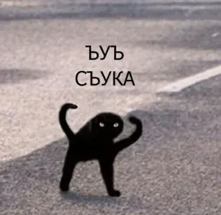 😠 ЪУЪ
СЪУКА gatto, imprecazioni, divertente, meme, offensivo telegram sticker