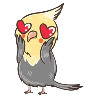 😍 calopsitta, uccello, amore, occhi a cuore, carino, animale, adesivo telegram sticker