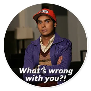 😤 What's wrong with you?! Raj Koothrappali, The Big Bang Theory, pregunta, divertido, serie tv whatsapp sticker
