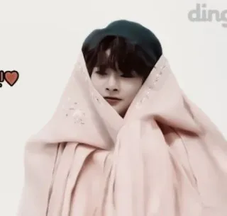 🦊 homme, chapeau, rose, couverture, mignon whatsapp sticker