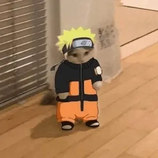 🐈 Naruto gato, anime, Naruto, manga, engraçado, fofo telegram sticker