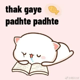 😓 thak gaye padhte padhte 猫, 勉強, 眠い, 本, 可愛い, カワイイ, 動物 whatsapp sticker