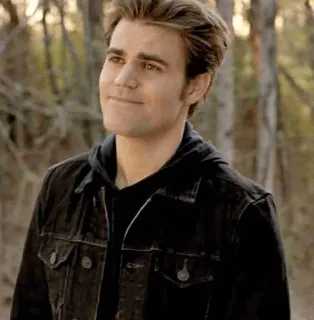 🙂 Stefan Salvatore The Vampire Diaries Paul Wesley, wampir, dramat, nadprzyrodzone telegram sticker