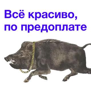 📝 Всё красиво, по предоплате jabalí, animal, prepago, joyería, cadena telegram sticker