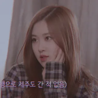 🐿️ 앹으로 제주도 간 적 없음) coreana, donna, rosa, cantante telegram sticker