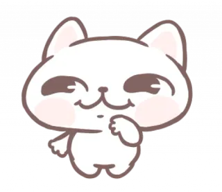 🎀 mèo, động vật, dễ thương, hoạt hình, hài hước, meme telegram sticker