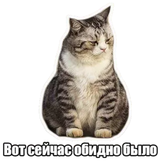 😞 Вот сейчас обидно было chat, sticker, triste, mignon, russe telegram sticker
