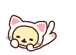 😺 ริลัคคุมะ, หมี, แมว, สัตว์, น่ารัก, คาวาอิ telegram sticker