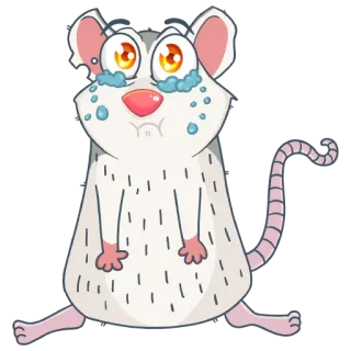 😢 rata, ratón, triste, llorando, dibujos animados, animal telegram sticker
