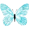 🦋