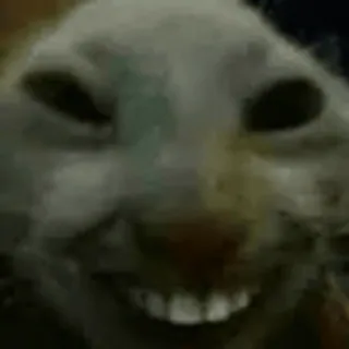 😆