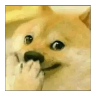 ☺️ Doge Meme, Hund, Lustig, Tier, Doge telegram sticker